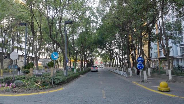 社区治理千差万别 一部法规如何精准落地？